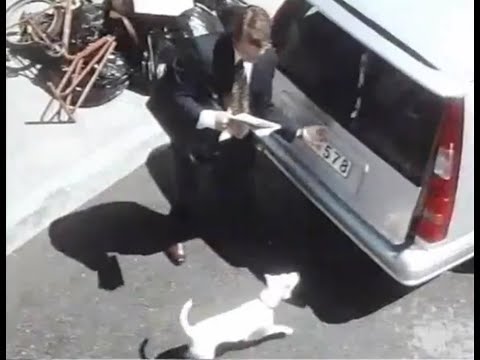 Volvo V70 | Commercial Ad