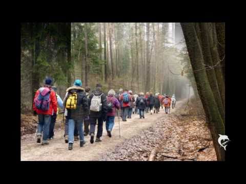 Rund um den Dechsendorfer Weiher - 13. Februar 2011