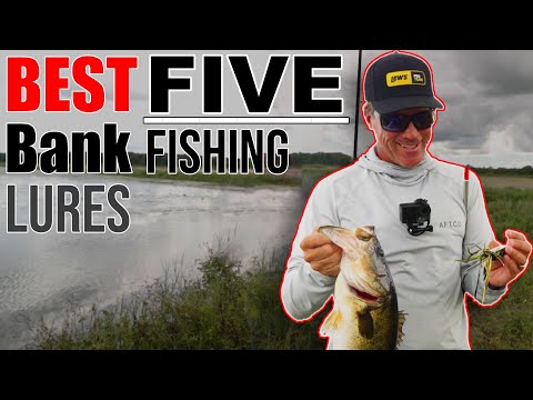 Top 5 Pond Lures in the World For Bass Fishing 