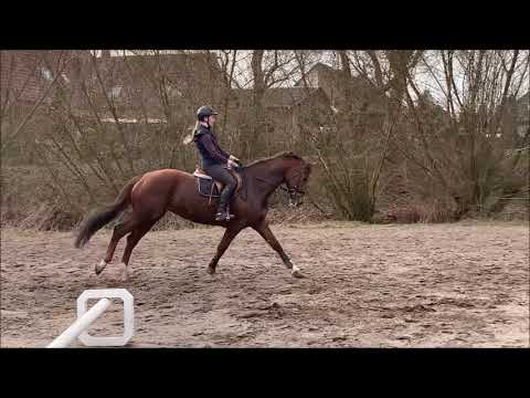 SUNRISE absolviert ihre ersten Sprünge