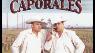 Dueto Los Caporales-El Periquero