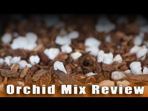, title : 'Orchid Care, Ropotting- Orchid Mix Review Gubler's'
