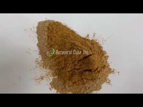 Eriobotrya Japonica Extract Powder
