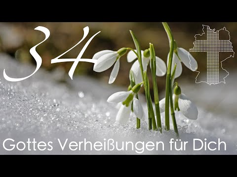 Gottes Verheißungen für Dich - Römer 2,11 | Videokalender 34/365 - Deutschland braucht JESUS