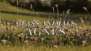 Glass Animals - Agnes [LYRICS]