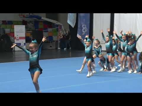 Mistrovství ČR 2024_ JNS Chickadees