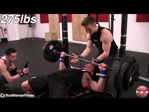 Muscular Strenght Title