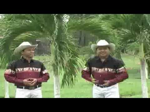 PALOMINO Y PEDROSO.flv