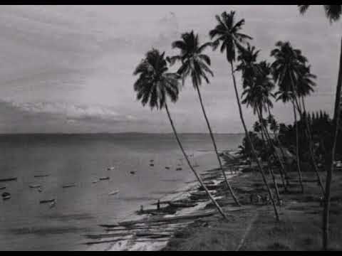 Asherr Voice||Holong naso situhoron(Lirik)