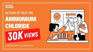 Get Help with Class 8 Chemistry