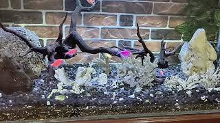 Download lagu Best Of Saleem Iklim - Full Album Saleem Iklim - Slow Rock Malaysia mp3