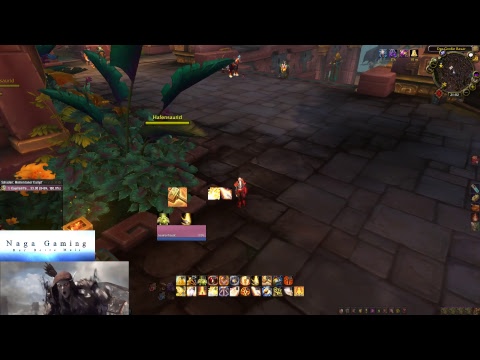 WoW BFA Holy Paladin | BoD Heroic