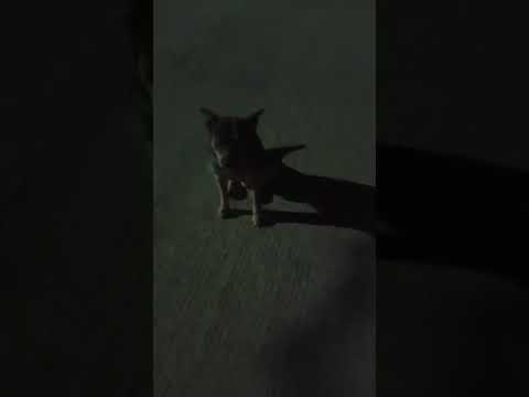 asi se vive en jerez zacatecas