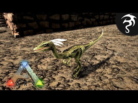 Compy Taming! Plus an Extinction Chronicle! - Ep11 - Ark Single Player+