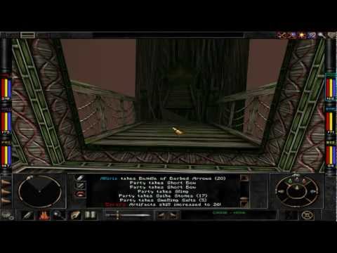 Wizardry 8 (HD) - Trynnie Bridge