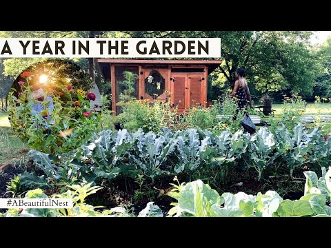 New! A Year in The Garden : A Beautiful Nest