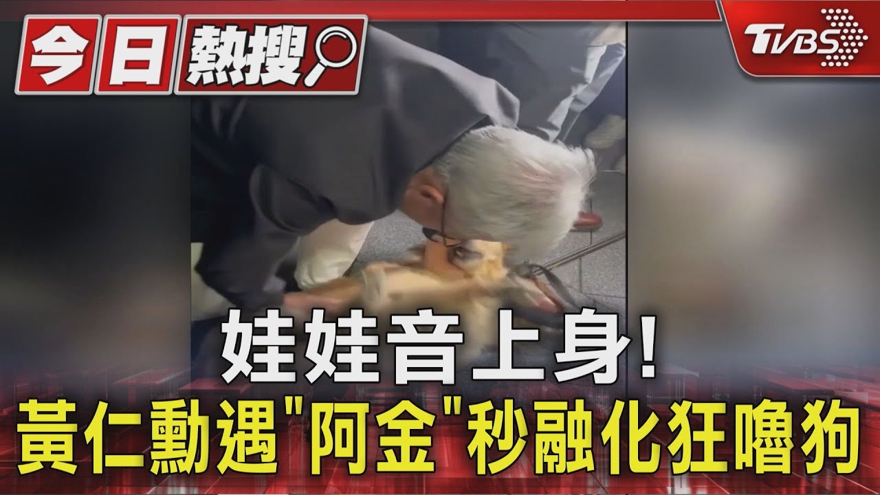 黃仁勳街頭巧遇黃金獵犬秒變狗奴 嚕狗畫面萌翻網友