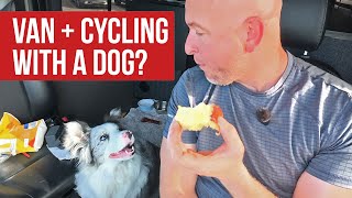 🚐 Van Life Road Trip: Dog, Cycling & Uranus Fudge?! 🐶🚴‍♂️🍫