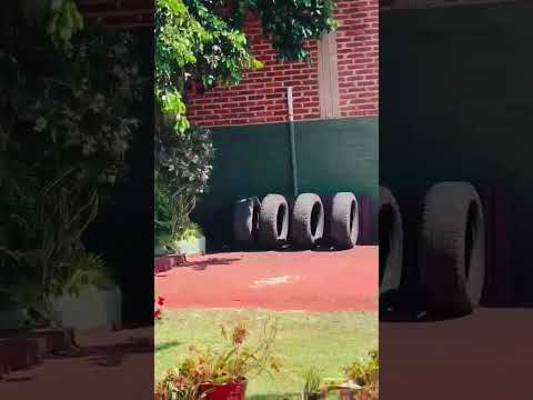 Video de Alojamiento Alicia