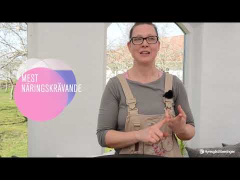 Stadsodling del 6: Skadedjur och växtföljd.