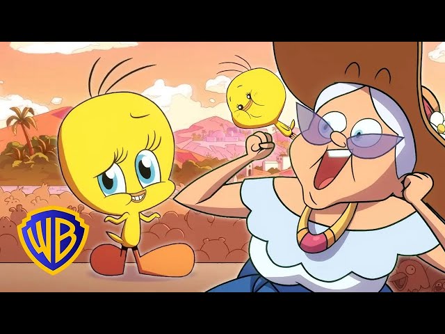 Vídeo relacionado con Sylvester ve Tweety: Looney Tunes Büyükanne Ortadan Kayboluyor - Granny Vanishes