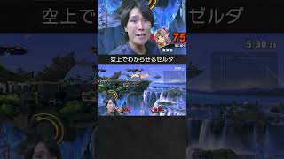 【スマブラSP】ホムヒカを空上でわからせるゼルダちゃん。