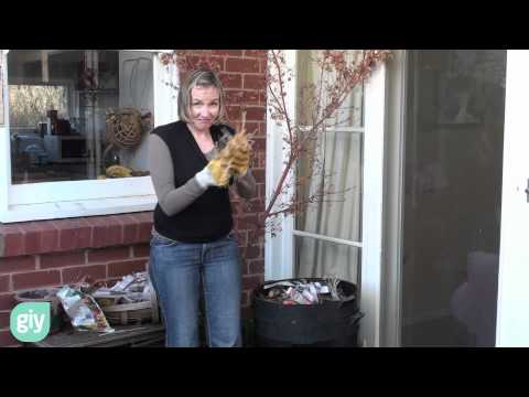 How to rescue a dying, smelly or failing worm farm.