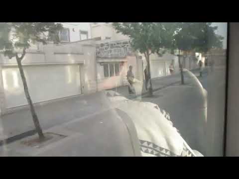 2183 STCP - Mercedes-Benz Citario (O530) Evobus - Linha / Line 202