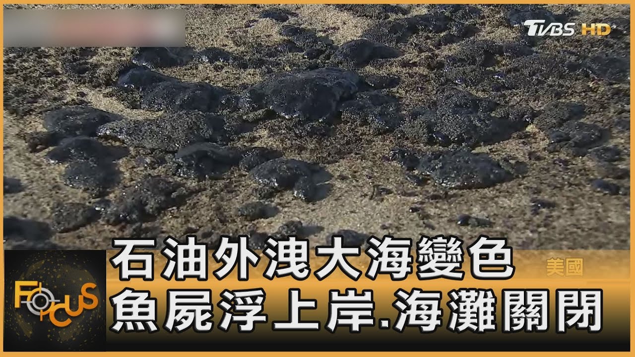 石油外洩大海變色 魚屍浮上岸.海灘關閉