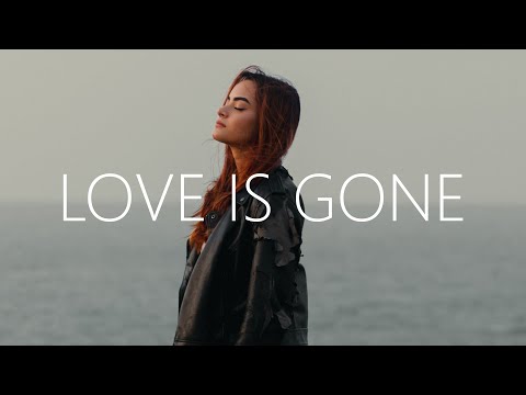VERMILION - Love Is Gone (Lyrics) ft. PVLN