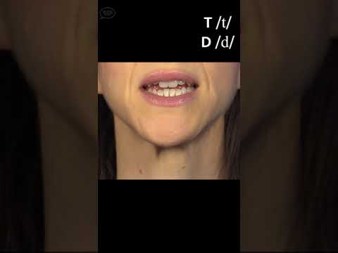 The True T /t/ and D /d/ Consonants | Pronounce American English | American Accent Training!
