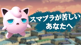 【スマブラSP】どうしてスマブラに取り組むのはこんなにも苦しいのか？【語り動画】