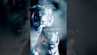 Download lagu quotes keren. macan putih ll maung bodas -Ternyata diriku lebih sombong- #nasehat mp3