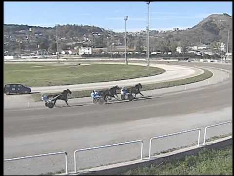 Trotto 08/03/2015 - 2° corsa