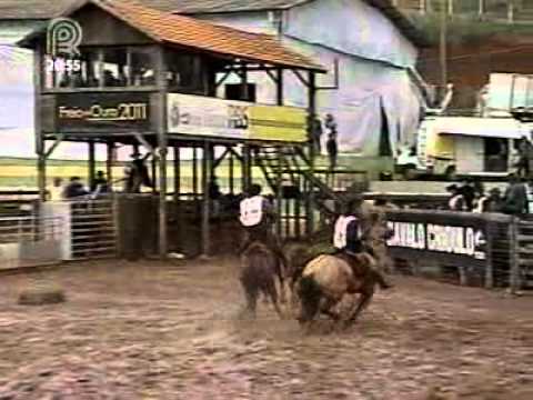 Rural Revista   Freio de Ouro 2011 define mais oito vagas para a grande final   Vídeos   Canal Rural