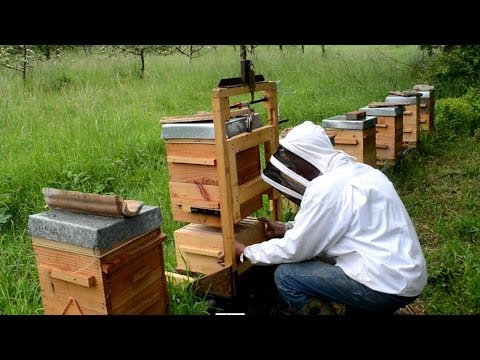 comment construire ruche warré