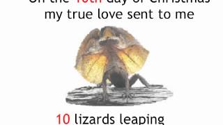 12 New Days Of An Australian Christmas