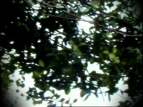 Adem Barbullushi & Marjana- Ma ke gishtin per unaze