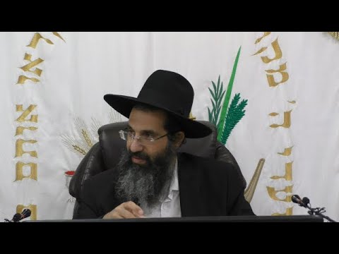 דיני ישיבת סוכה 🍃 הרב שי עובד | חמישי - חג סוכות - תשפד