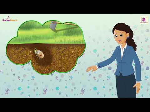A Little Seed - Rhyme For Kids | Junior KG Rhymes | Periwinkle