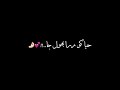 تیرے احساسوں میں😩🕊️| black screen | urdu lyrics | slowed and reverb | whatsapp status |