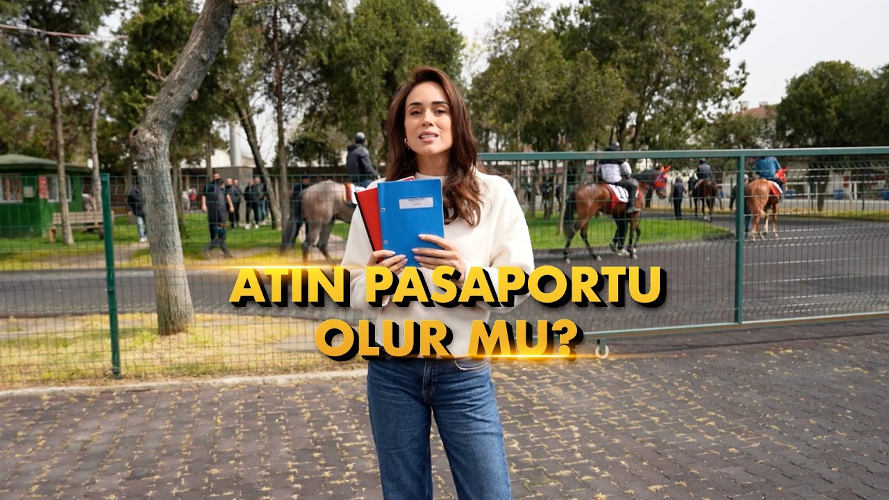 Bir Atın Pasaportu Olur Mu? | Damla ile Kulvar Dışı