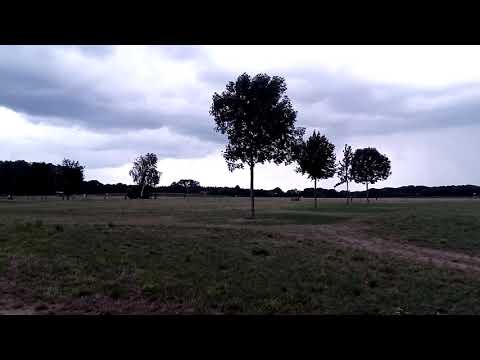 RugGear RG655 testvideo | GSMinfo.nl