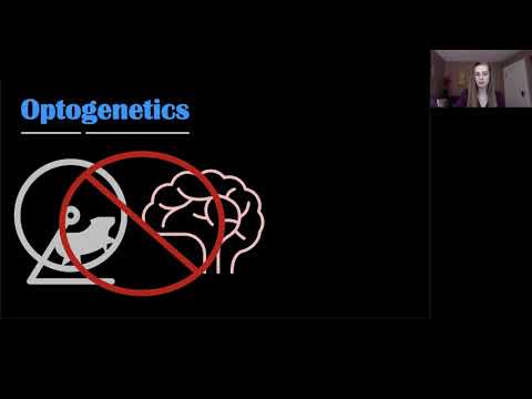 What is Optogenetics?
