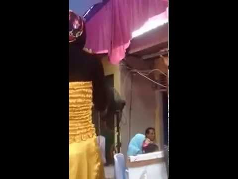 DUET BUNGA DAN KUMBANG ARDI PEKANBARU