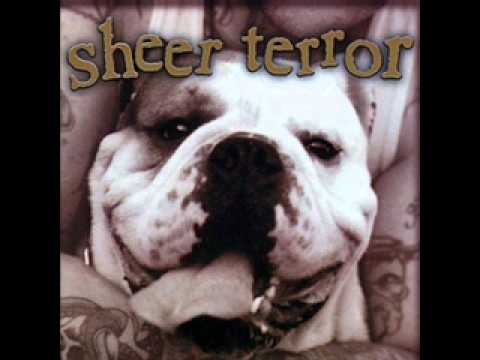 Sheer Terror- Just can't Hate Enough