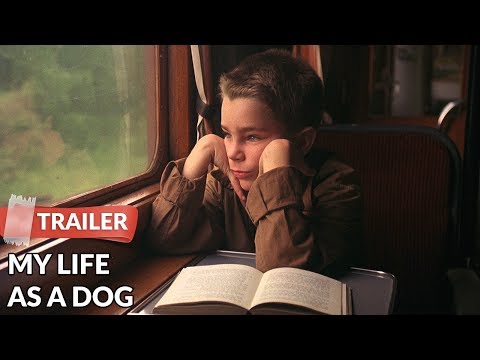 My Life As A Dog (1987) Teaser