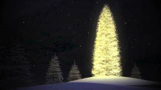 The Earth Stood Still - Future of Forestry