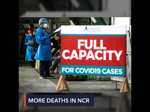 Octa Research: More people in Metro Manila dying due to COVID-19