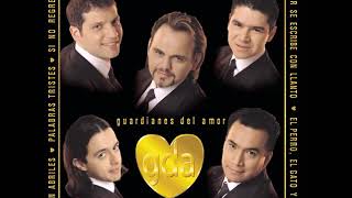 karaoke pricipio o fin , guadianes del amor (pista)